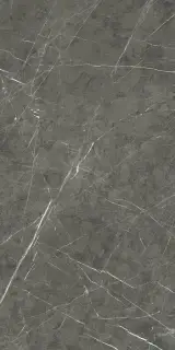 PREXIOUS REX CHARMING AMBER GLOSSY 60X120 R