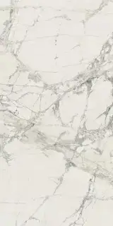 PREXIOUS MOUNTAIN TREASURE 6MM GLOSSY 60X120 RET