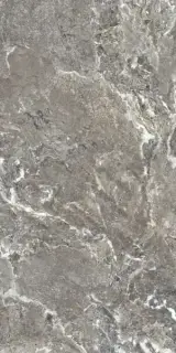 ONYX&MORE SILVER PORPHYRYSTR20MM60X120R