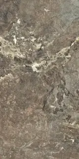 ONYX&MORE GOLDEN PORPHYRY STR20MM60X120R