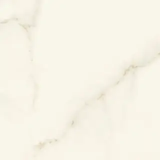 Marvel Calacatta Apuano 60x60 Lappato