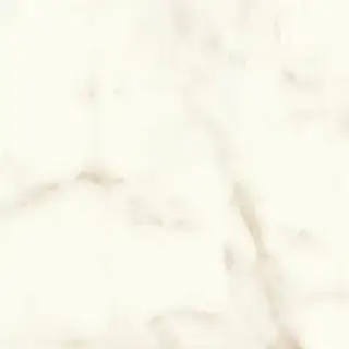 Marvel Calacatta Delicato 60x60 Silk