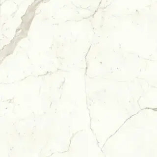 Marvel Calacatta Prestigio 120x120 Lappato
