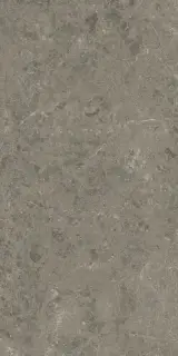 Marvel Meraviglia Grigio Elegante 60x120