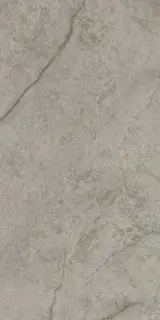 Marvel Meraviglia Silver Majestic 60x120 Lapp.