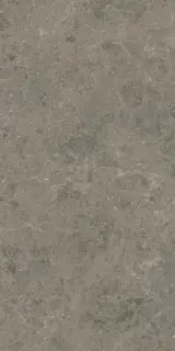 Marvel Meraviglia Grigio Elegante 60x120 Lapp.