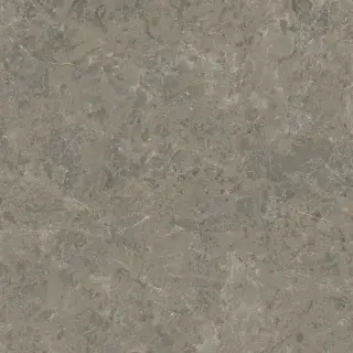 Marvel Meraviglia Grigio Elegante 120x120 Velvet