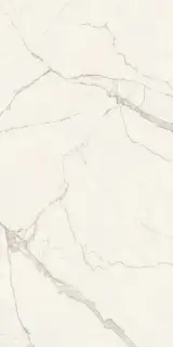 Calacatta Extra Bookmatch Polished 160x320