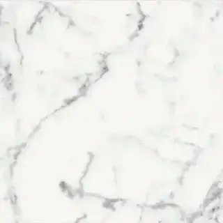 ORIGINES DE REX BLANC MATTE 60X60 RETT