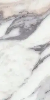 ORIGINES DE REX ARGENT MATTE 30x60 RETT