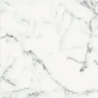 ORIGINES DE REX BLANC GLOSSY 60X60 RETT