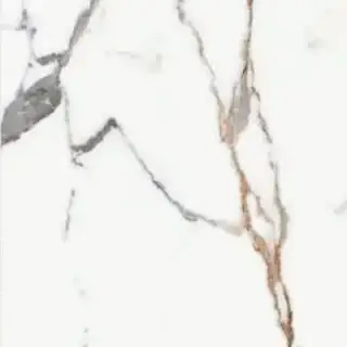 ORIGINES DE REX OR MATTE 60X60 RETT