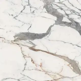 ORIGINES DE REX OR MAT 6MM 120X120 R