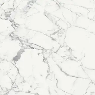 ORIGINES DE REX BLANC GLOSSY 6MM 120X120 R