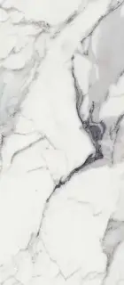 LES ORIGINES DE REX ARGENT GLOSSY 80X180 RT