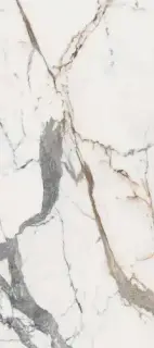 LES ORIGINES DE REX OR MAT 80X180 RET