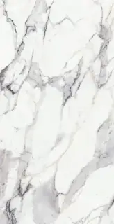 ORIGINES DE REX ARGENT MAT 6MM 120X240 R