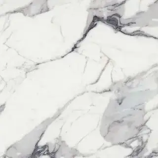 ORIGINES DE REX ARGENT MAT 6MM 120X120 R