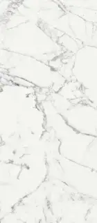 LES ORIGINES DE REX BLANCHE GLOSSY 80X180RT