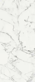 LES ORIGINES DE REX BLANCHE MAT 80X180RT