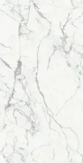 ORIGINES DE REX BLANC GLOSSY 6MM 120X240 R