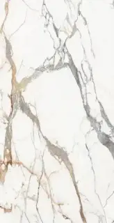 ORIGINES DE REX OR GLOSSY 6MM 120X240 R