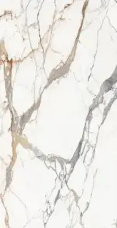 ORIGINES DE REX OR MAT 6MM 120X240 R