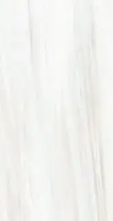 ORIGINES DE REX O.DOREE MAT 6MM 120X240R