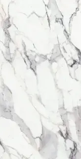 ORIGINES DE REX ARGENT MAT 6MM 120X280 R