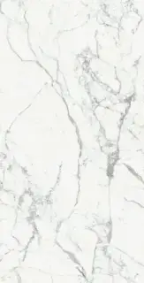 ORIGINES DE REX BLANC MAT 6MM 120X240 R