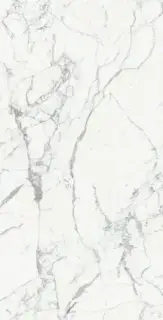 ORIGINES DE REX BLANC MAT 6MM 120X280 R