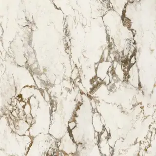 INTERNO4 Breccia Tortona 120X120 Lappato