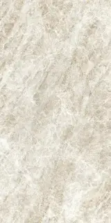 ICONIC LIFE HONEY YAMUNA MATTE 60x120 RET