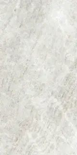 ICONIC LIFE RICE YAMUNA MATTE 60x120 RET