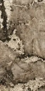 HERITAGE FLAME GLOSSY 6MM 60X120 RET