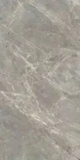 ETOILE GRIS MAT 60x120 RET