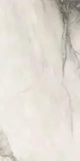 ETOILE RENOIR GLOSSY 6MM 60X120 RET