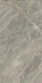 ETOILE GRIS GLOSSY 6MM 120X240 RET