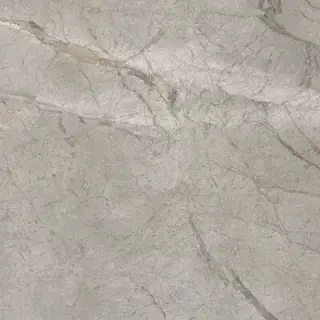 Elements Lux Silver Grey 60X60 NAT