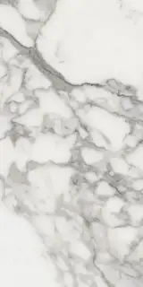 Elements Lux Calacatta 60X120 Lappato