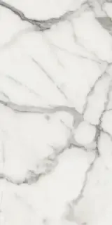 Elements Lux Calacatta 60X120 NAT