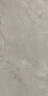 Elements Lux Silver Grey 60X120 Silk