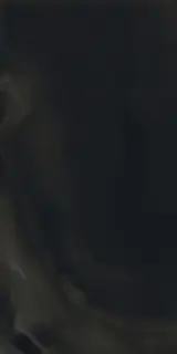 ECCENTRIC LUXE SMOKY BLACK COM60x120 RET