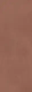 Calce Terracotta 100х300 3+