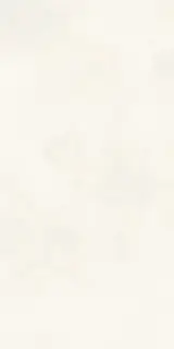 Calce Avorio 162х324 5+