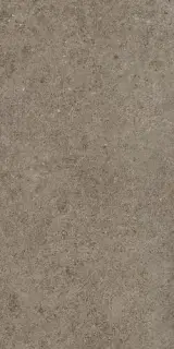 BOOST STONE Taupe 30x60