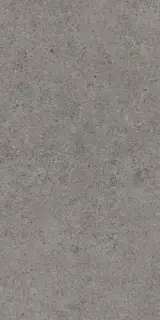 Boost Stone Smoke 60x120 20mm