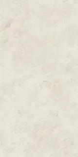 Boost Icor Bone 60x120 - 20mm