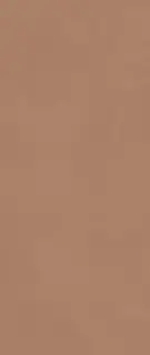 Boost Expression Sienna 50x120