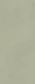 Boost Expression Olive 50x120